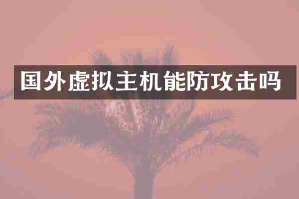 国外虚拟主机能防攻击吗