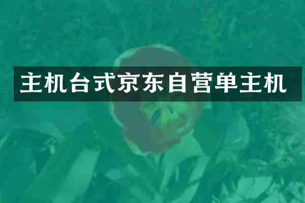 主机台式京东自营单主机
