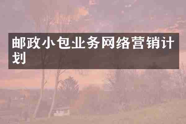 邮政小包业务网络营销计划