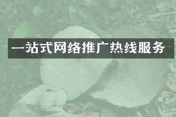 一站式网络推广热线服务