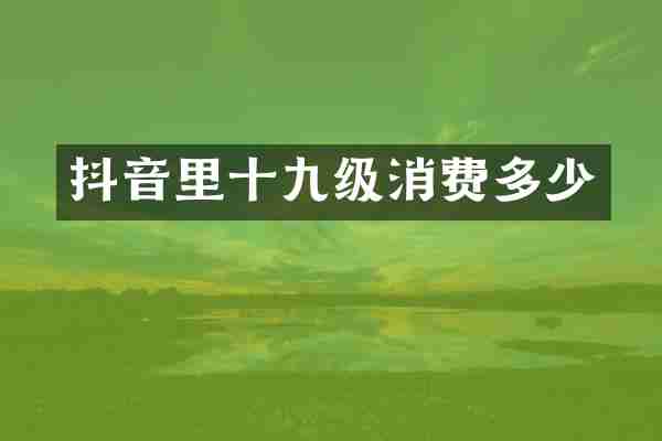抖音里十九级消费多少