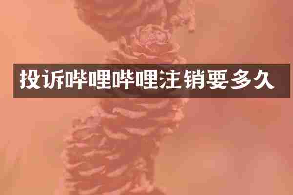 投诉哔哩哔哩注销要多久