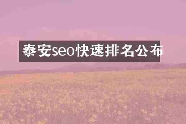 泰安seo快速排名公布