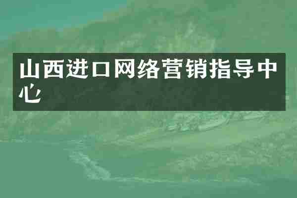 山西进口网络营销指导中心