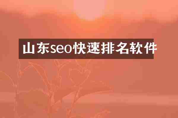 山东seo快速排名软件