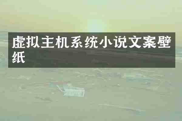 虚拟主机系统小说文案壁纸