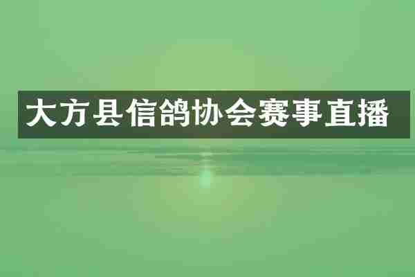 大方县信鸽协会赛事直播
