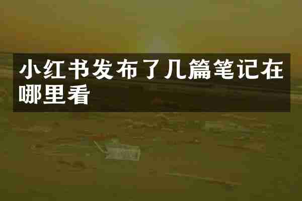 小红书发布了几篇笔记在哪里看