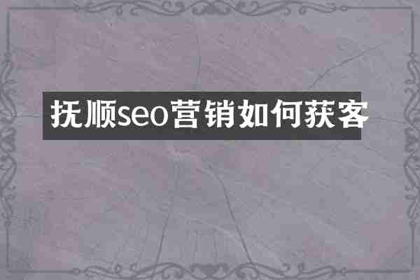 抚顺seo营销如何获客