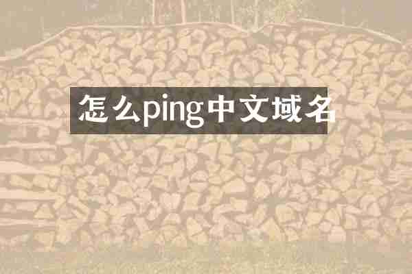 怎么ping中文域名