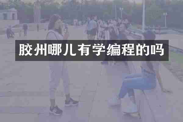胶州哪儿有学编程的吗