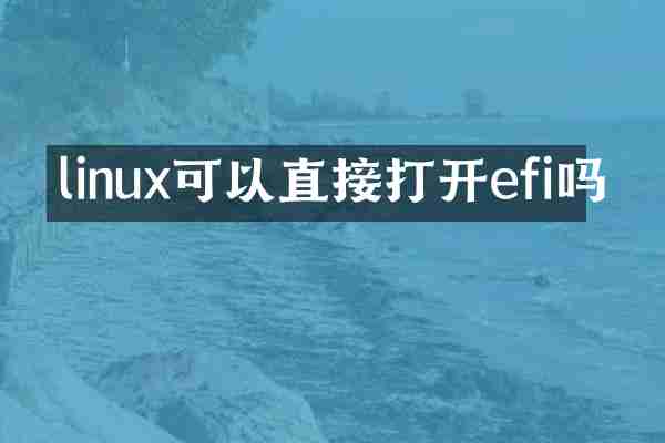 linux可以直接打开efi吗