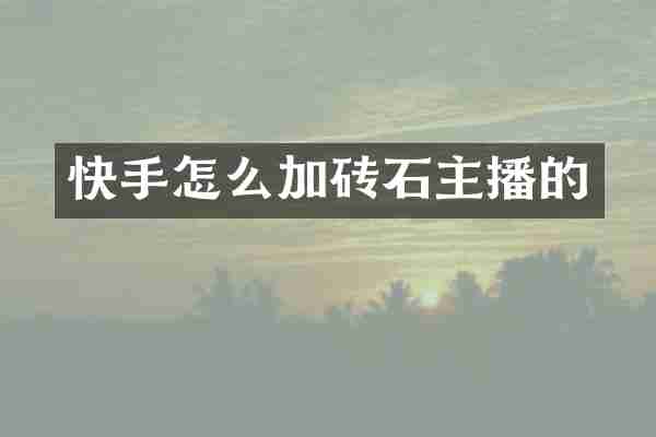 快手怎么加砖石主播的