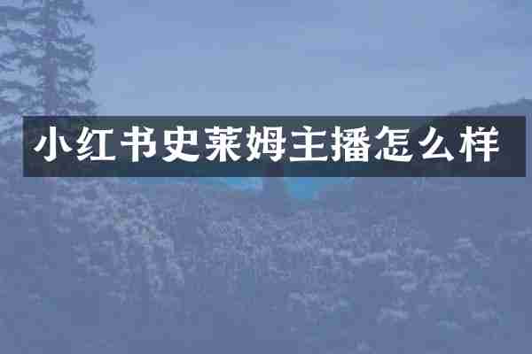 小红书史莱姆主播怎么样