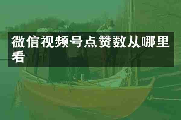 微信视频号点赞数从哪里看