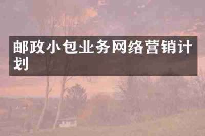 邮政小包业务网络营销计划