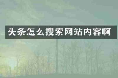 头条怎么搜索网站内容啊
