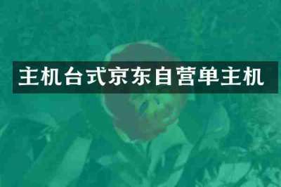 主机台式京东自营单主机
