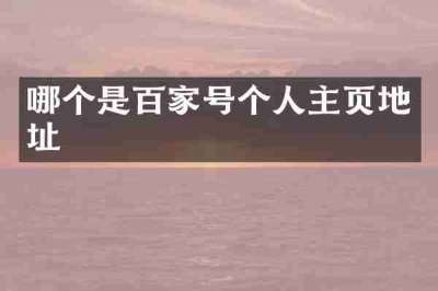 哪个是百家号个人主页地址