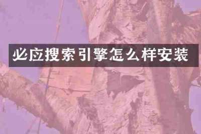 必应搜索引擎怎么样安装