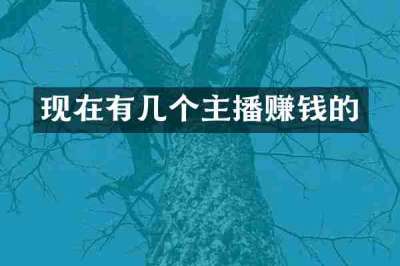 现在有几个主播赚钱的