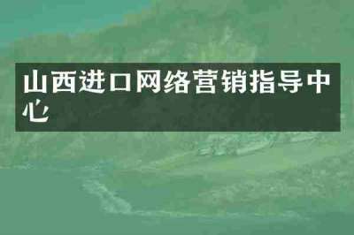 山西进口网络营销指导中心