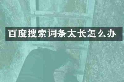 百度搜索词条太长怎么办