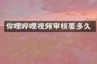 你哩哔哩视频审核要多久