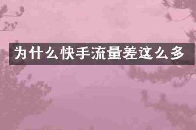 为什么快手流量差这么多