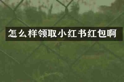 怎么样领取小红书红包啊