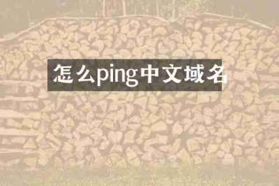 怎么ping中文域名
