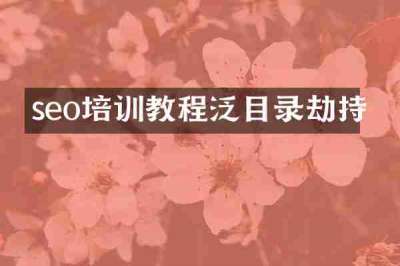 seo培训教程泛目录劫持