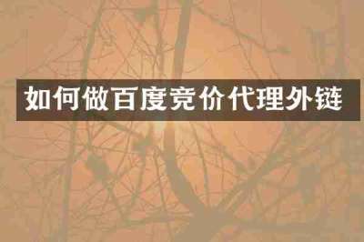 如何做百度竞价代理外链
