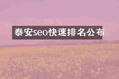 泰安seo快速排名公布