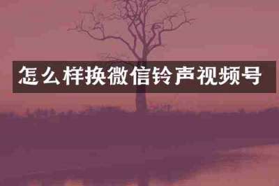 怎么样换微信铃声视频号