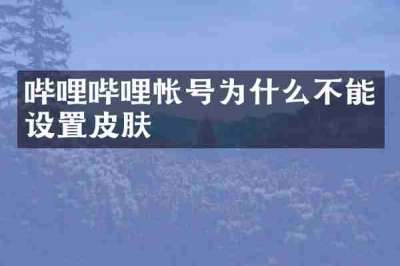 哔哩哔哩帐号为什么不能设置皮肤