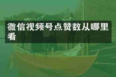 微信视频号点赞数从哪里看