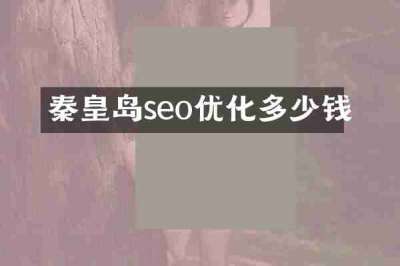 秦皇岛seo优化多少钱