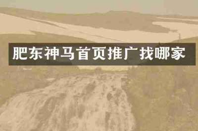 肥东神马首页推广找哪家