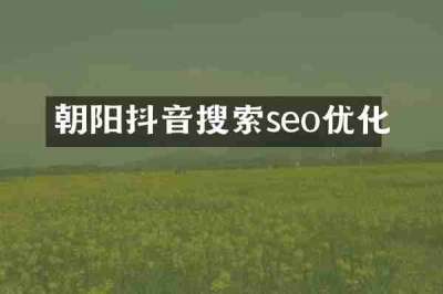 朝阳抖音搜索seo优化
