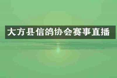 大方县信鸽协会赛事直播