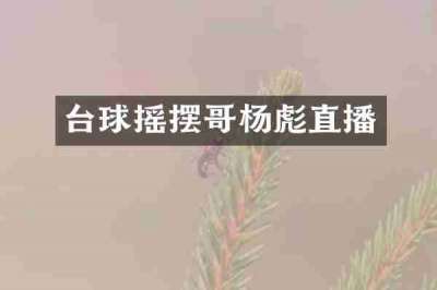 台球摇摆哥杨彪直播