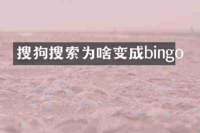 搜狗搜索为啥变成bingo