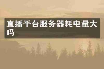 直播平台服务器耗电量大吗