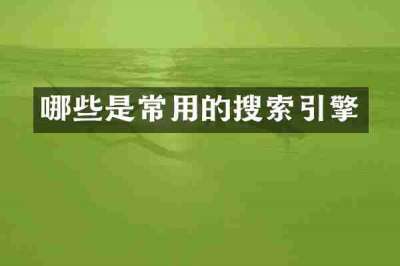哪些是常用的搜索引擎