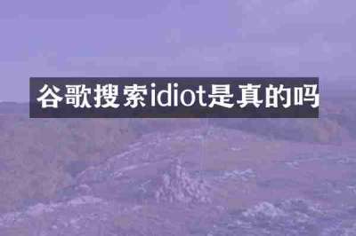 谷歌搜索idiot是真的吗