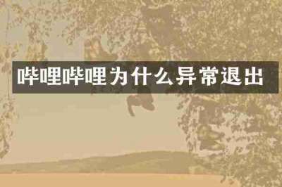 哔哩哔哩为什么异常退出