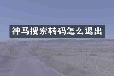 神马搜索转码怎么退出