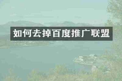 如何去掉百度推广联盟