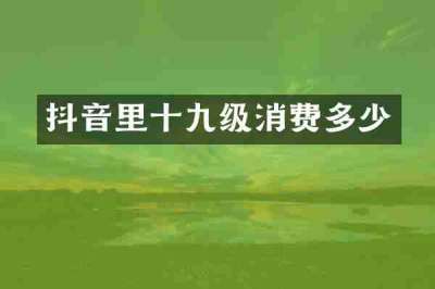 抖音里十九级消费多少